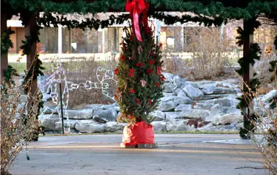 branson christmas