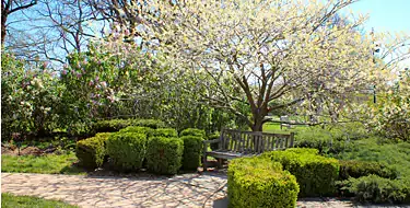 Loose Park & Gardens 