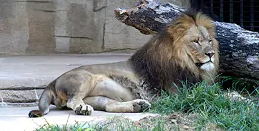 Tulsa Zoo 