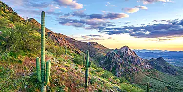 McDowell Sonoran Preserve 